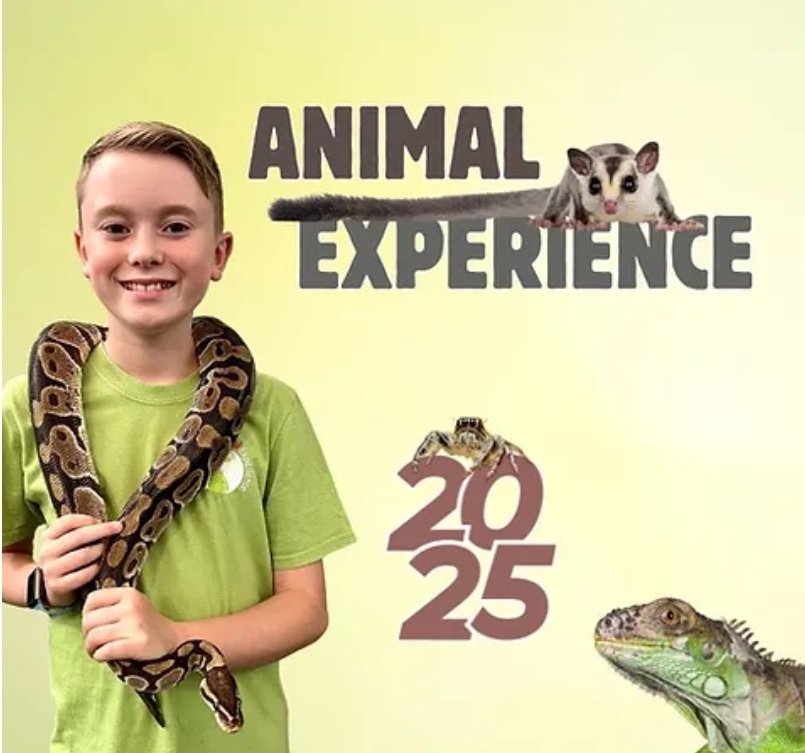 🦎 Animal Encounter at The Emporium in Woburn Sands 2025 - Event Image 2 February 19, 2025 