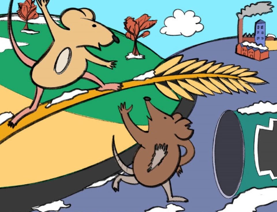 🐭 Town Mouse and Country Mouse at The Hat Factory in Luton  - February 01, 2025 11:30 AM at The Hat Factory Arts Centre, 65-67 Bute Street, Luton, LU1 2EY