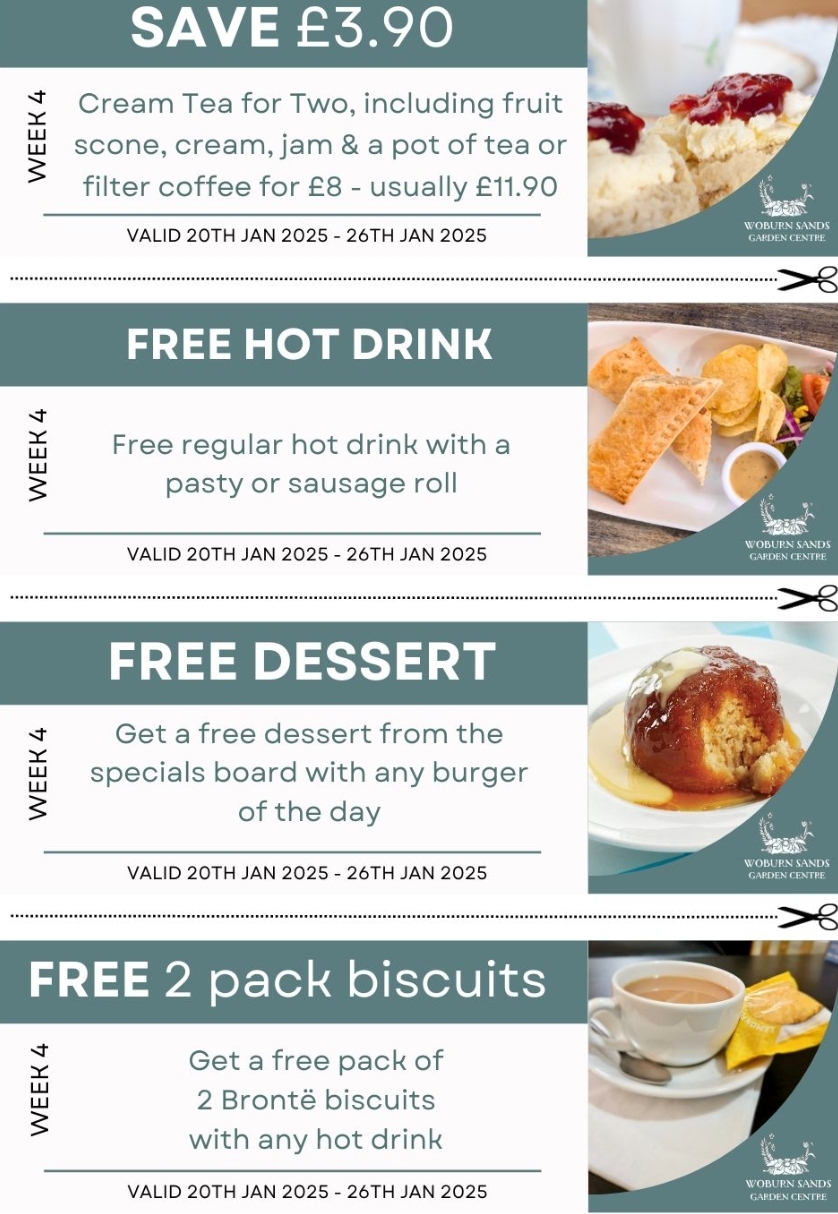 🤸‍♂️ Soft Play at Woburn Sands Emporium & January 2025 Restaurant offers! - Event Image 3 January 25, 2025 