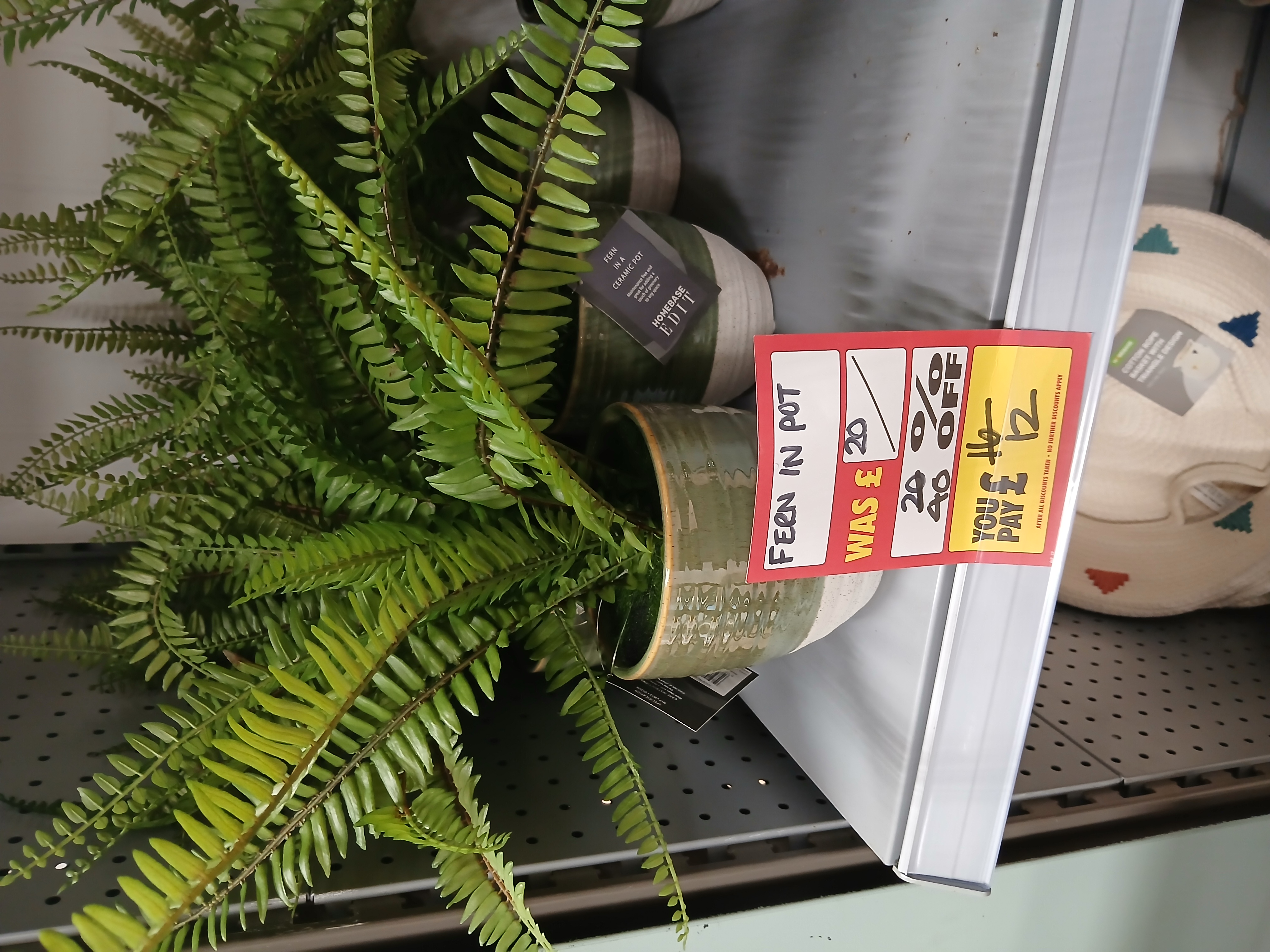😭💥 NEWS! Homebase Stores are closing down 2025! Offers of up to 70% off! | Categories: Stores | Featured Deal 😭💥 NEWS! Homebase Stores are closing down 2025! Offers of up to 70% off! - (40% - 70% off)