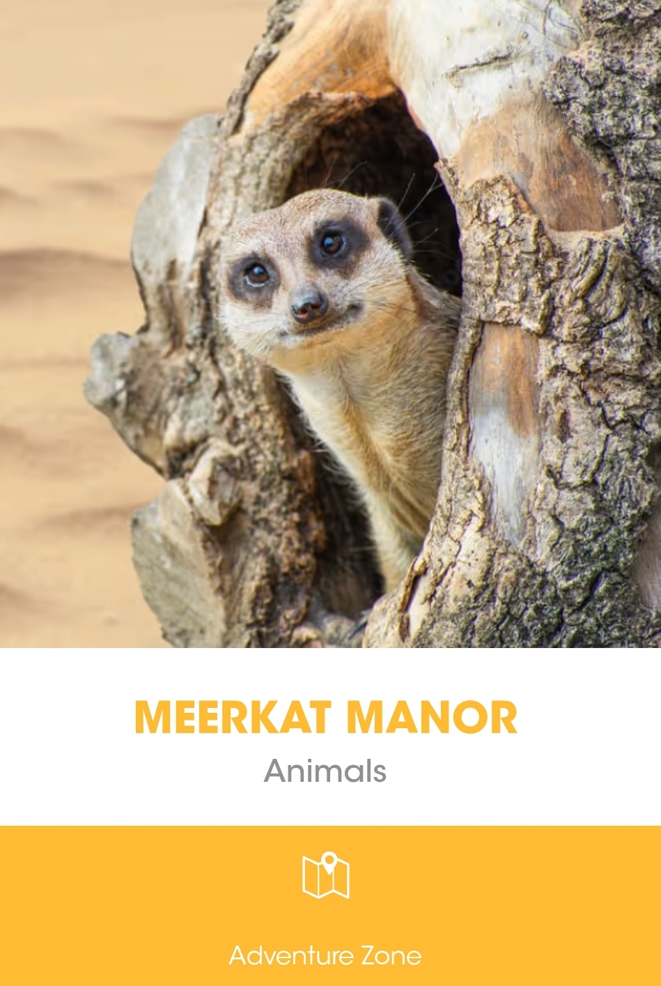 🎠 Wicksteed Park February Half Term 2025 at Wicksteed Park, Barton Road
Kettering
Northamptonshire
NN15 6NJ | Advance Booking, Animals, Attractions, Baby/Toddlers, Family, Food/Drink, Fun, Fun Fair, Half Term, Kids, Outdoor, Parks, Recurring, Ticket Event, Low Cost, Automotive, Play Area, Scenic, Weather Permitting, Tickets | Suitable for: Children, Family, Parking Onsite, Toilets, Accessible, Dog Friendly 🎠 Wicksteed Park February Half Term 2025 - Event Image 5 February 15, 2025 11:00 AM