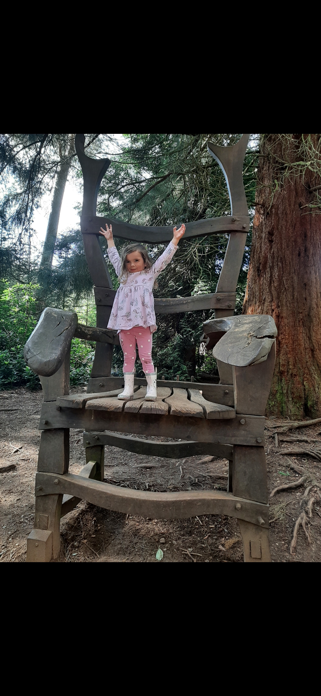🐞Heathland Bug Lab at Rushmere ages 5+ - Event Image 2 August 13, 2024 02:00 PM