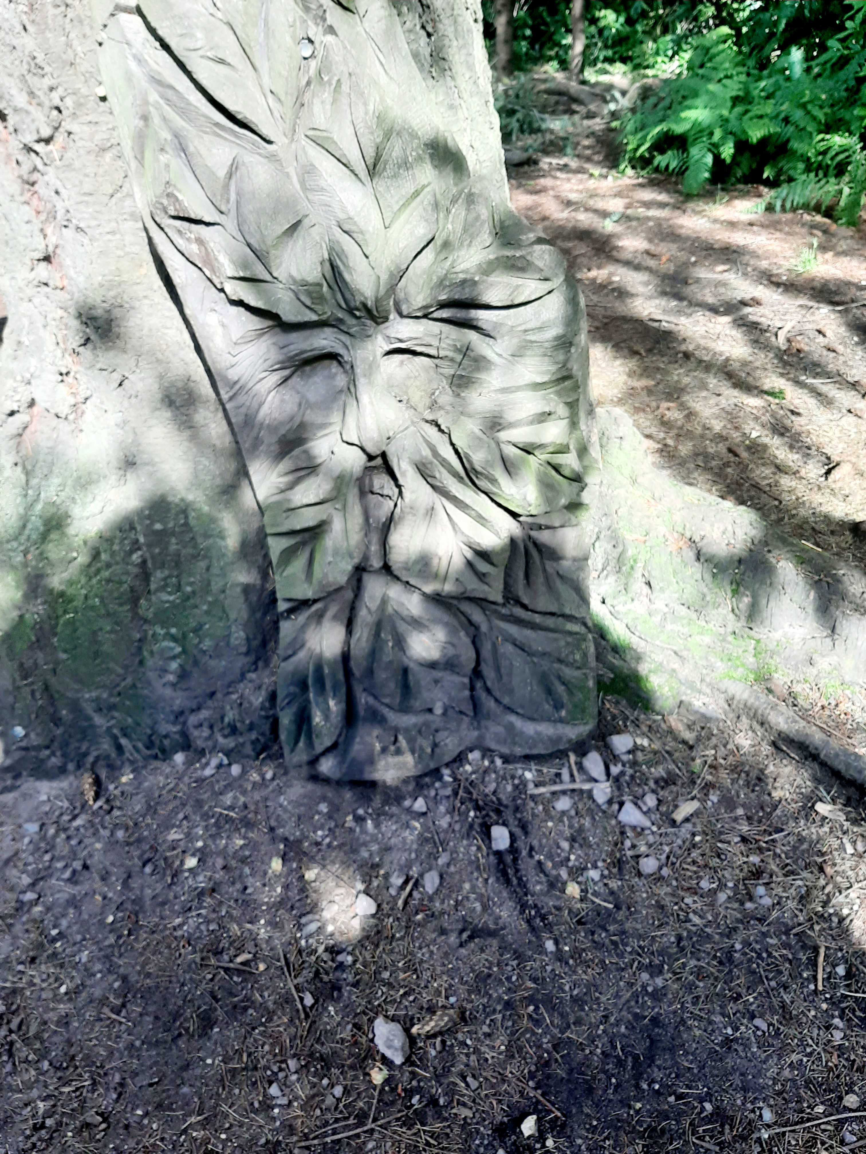 🐞Heathland Bug Lab at Rushmere ages 5+ - Event Image 3 August 13, 2024 02:00 PM