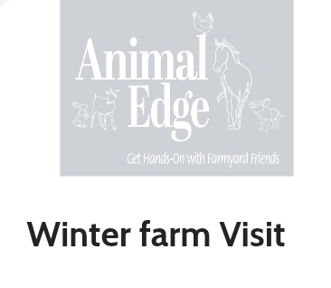 🐰 Little Dinosaurs Studio Craft and Farm Event at Animal Edge in Millbrook February Half Term 2025 - Event Image 7 February 17, 2025 10:00 AM
