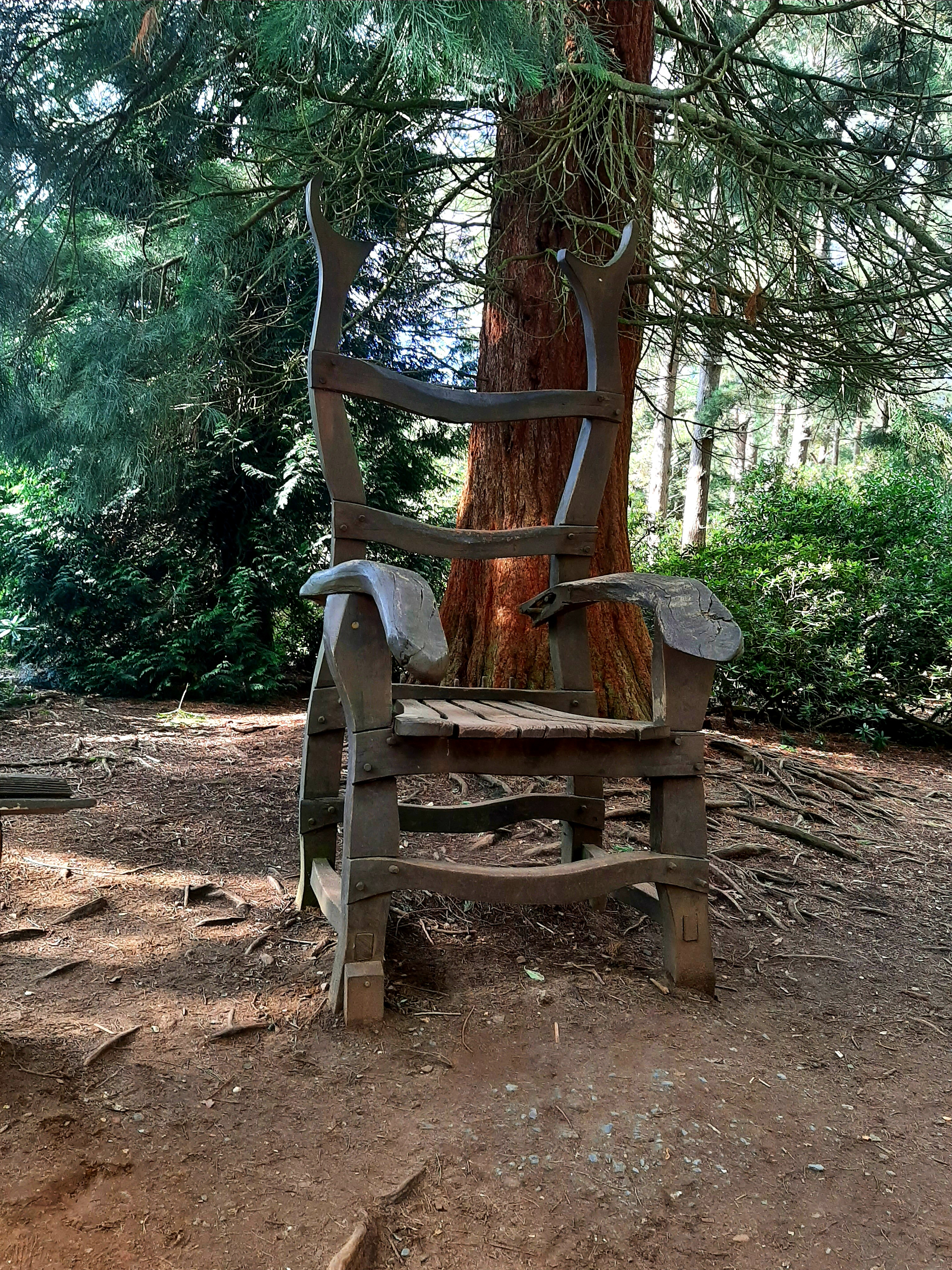 🐞Heathland Bug Lab at Rushmere ages 5+ - Event Image 5 August 13, 2024 02:00 PM