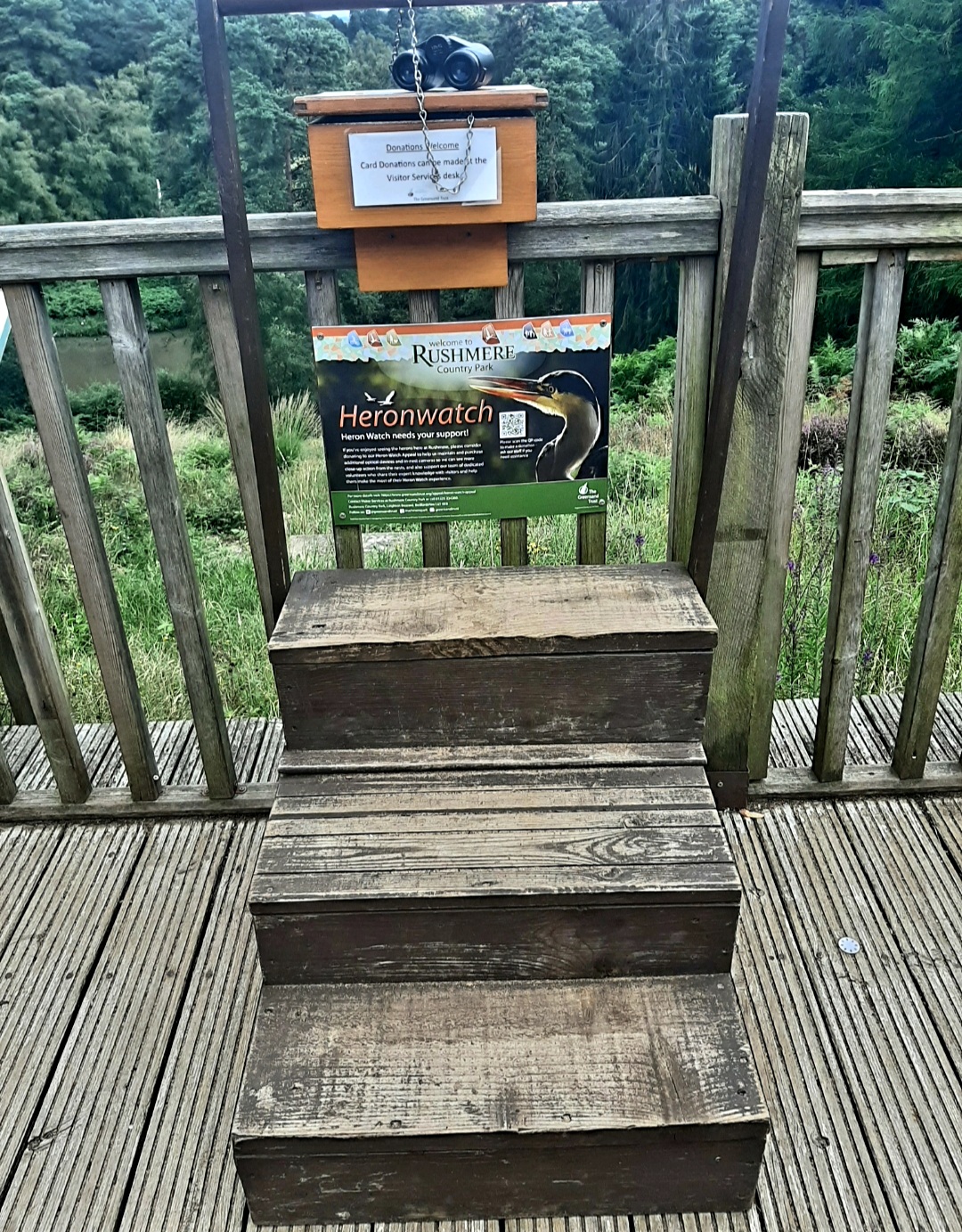 🐞Heathland Bug Lab at Rushmere ages 5+ - Event Image 8 August 13, 2024 02:00 PM