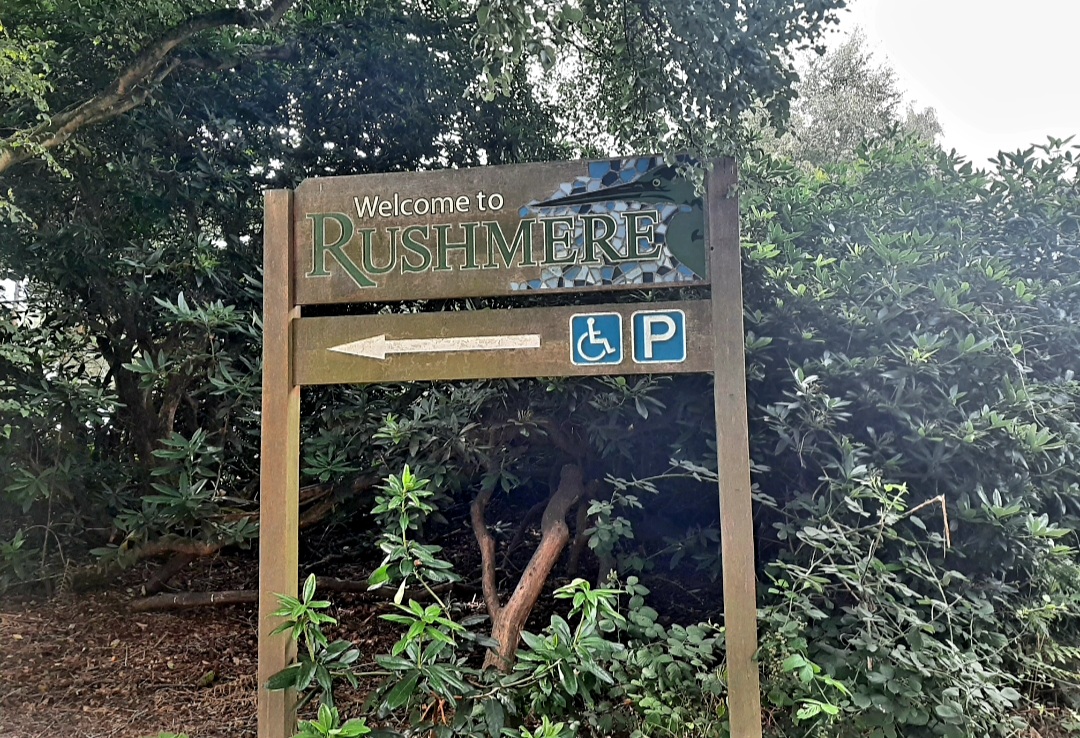 🐞Heathland Bug Lab at Rushmere ages 5+ - Event Image 11 August 13, 2024 02:00 PM