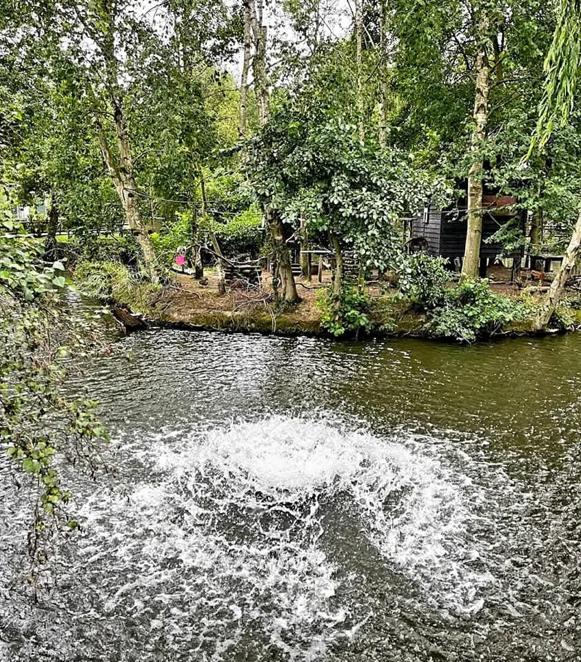 🐯Get a cheap day out at Shepreth Wildlife Park in Hertfordshire using your Tesco Club Card points! | Categories: Attractions | Featured Deal 🐯Get a cheap day out at Shepreth Wildlife Park in Hertfordshire using your Tesco Club Card points! -