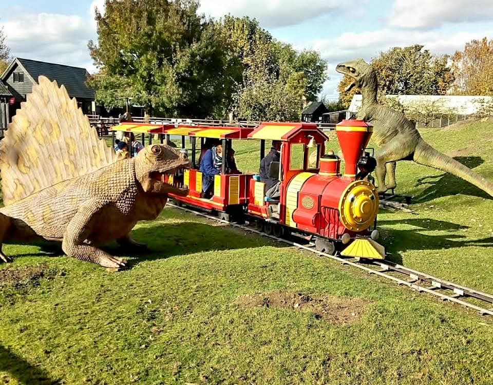 🐯Get a cheap day out at Shepreth Wildlife Park in Hertfordshire using your Tesco Club Card points! | Categories: Attractions | Featured Deal 🐯Get a cheap day out at Shepreth Wildlife Park in Hertfordshire using your Tesco Club Card points! -