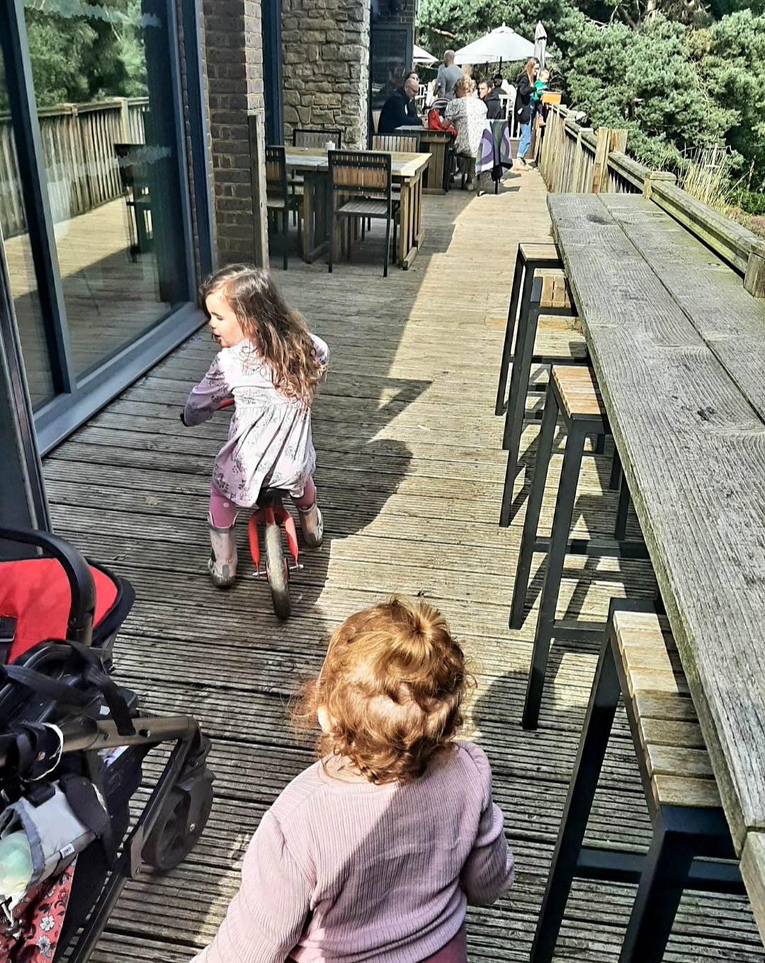 🐞Heathland Bug Lab at Rushmere ages 5+ - Event Image 12 August 13, 2024 02:00 PM