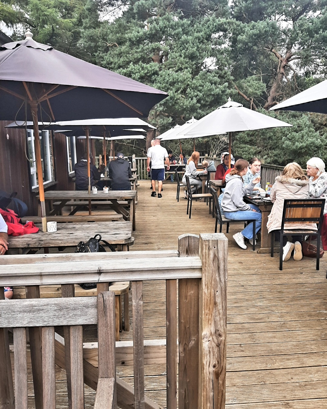 🐞Heathland Bug Lab at Rushmere ages 5+ - Event Image 13 August 13, 2024 02:00 PM