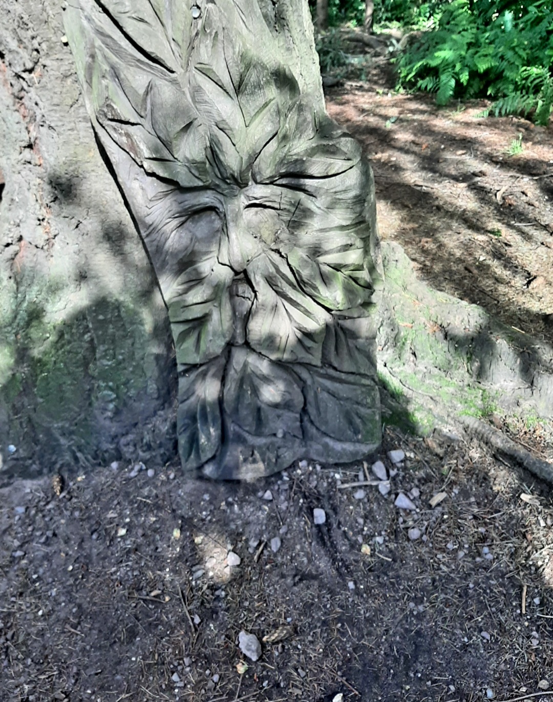 🐞Heathland Bug Lab at Rushmere ages 5+ - Event Image 15 August 13, 2024 02:00 PM