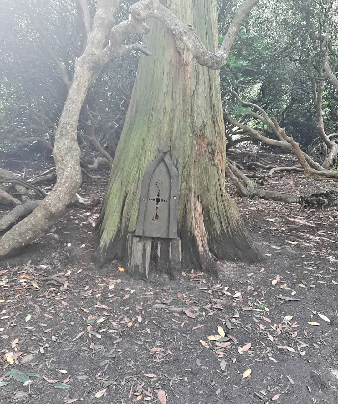 🐞Heathland Bug Lab at Rushmere ages 5+ - Event Image 16 August 13, 2024 02:00 PM