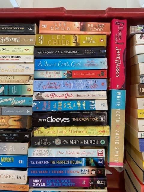 📚 Book & Puzzle Sale at Emmaus Village in Carlton - Event Image 2 January 25, 2025 10:00 AM