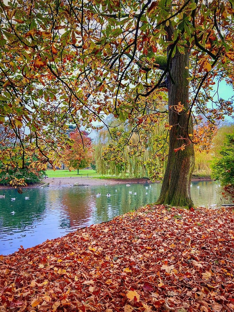 🚶♀️🚶♂️FREE Talk n walk, Dining Room Cafe, Wardown Park, Luton - Original Event Image | Indoor, Outdoor, Social, Health & Wellbeing, Parks, Free, Tickets, Adults, Advance Booking, Education | Suitable for: Accessible, Parking Onsite, Toilets 🚶♀️🚶♂️FREE Talk n walk, Dining Room Cafe, Wardown Park, Luton - February 02, 2025 11:30 AM at Wardown House, Museum and Gallery, Old Bedford Rd, Luton, LU2 7HA