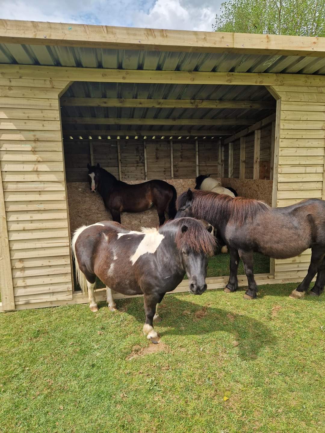 🐐 Family fun day - Bank Holiday Monday - Animal Edge, Millbrook - Event Image 5 August 26, 2024 10:00 AM