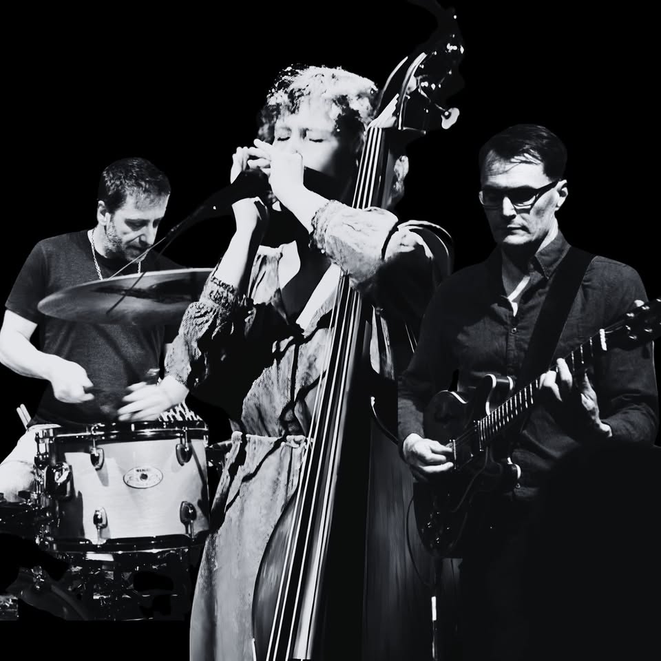 🎤 Ma Polaine's Great Decline at The Bear Club in Luton - March 01, 2025 07:00 PM at The Bear Club, Mill Yard, 24A Guildford St, Luton, LU1 2NR 