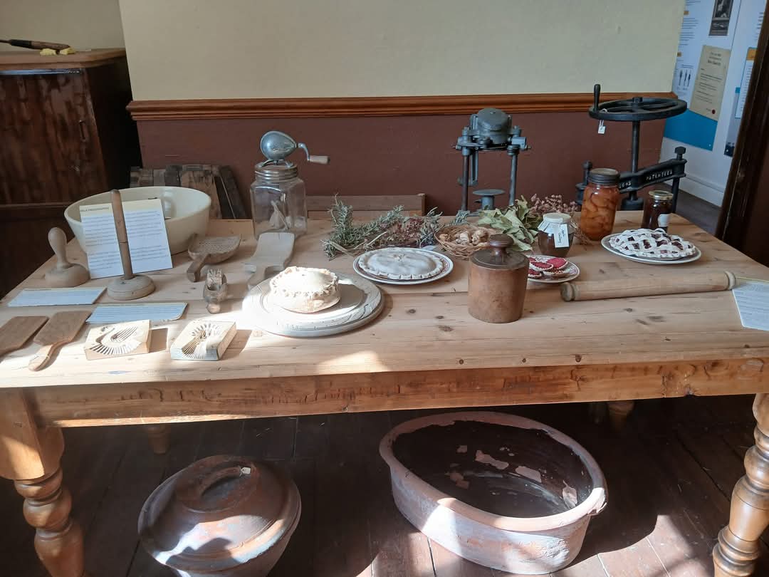 🦖 Milton Keynes Museum February Half Term 2025 - Pay once and go free all year round! - Event Image 32 February 19, 2025 10:30 AM