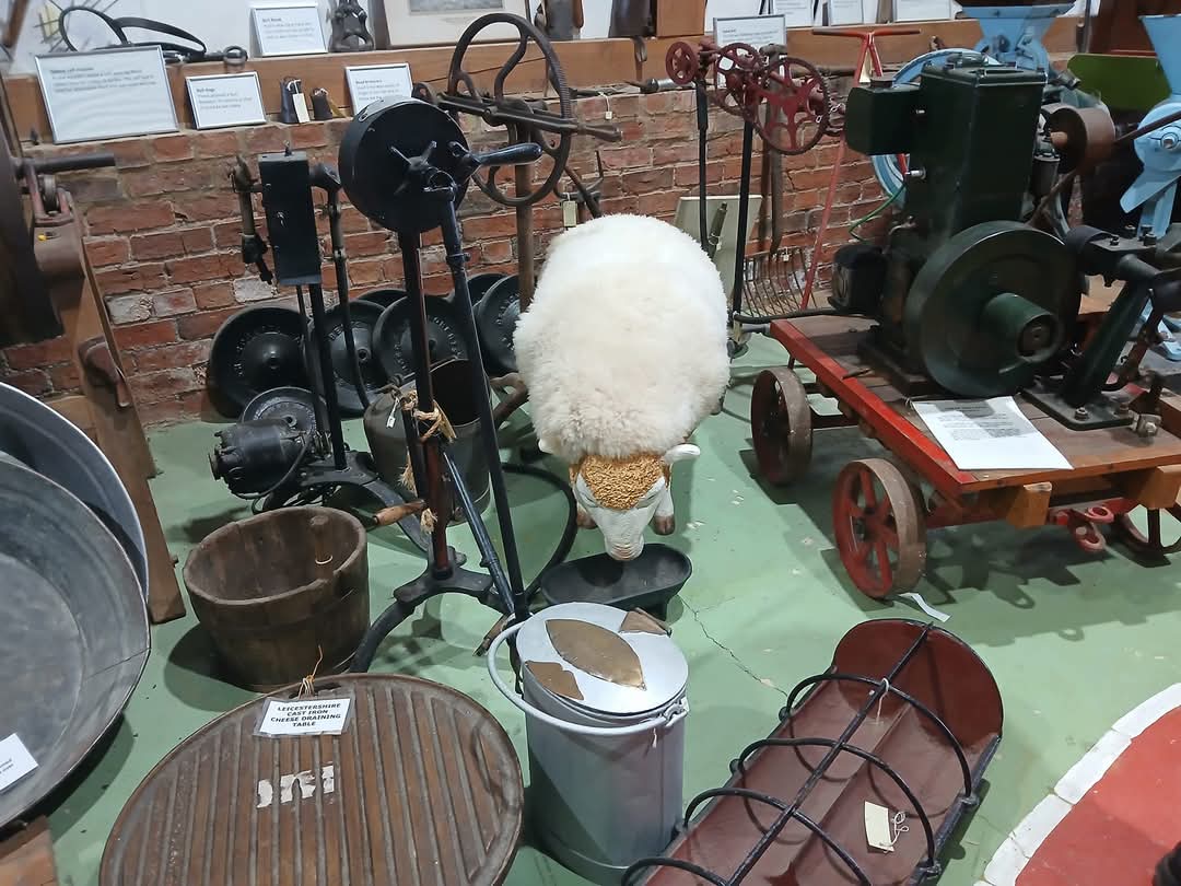 🦖 Milton Keynes Museum February Half Term 2025 - Pay once and go free all year round! - Event Image 34 February 19, 2025 10:30 AM