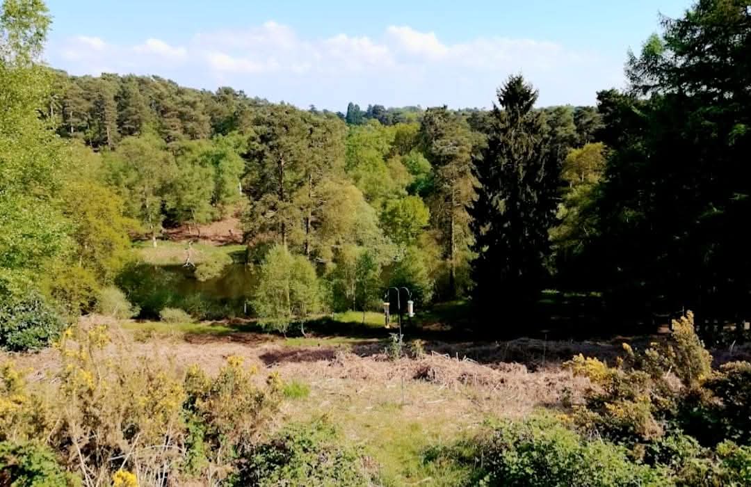 🐦 Rushmere Bird Trail February Half Term 2025 at Rushmere Country Park, Linslade Road, Heath and Reach, LU7 0EB | Baby/Toddlers, Education, Family, Fun, Half Term, Kids, Low Cost, Outdoor, Parks, Pay On Entry, Scenic, Food/Drink, Play Area | Suitable for: Children, Family, Parking Onsite, Toilets, Dog Friendly 🐦 Rushmere Bird Trail February Half Term 2025 - Event Image 6 February 15, 2025 09:00 AM