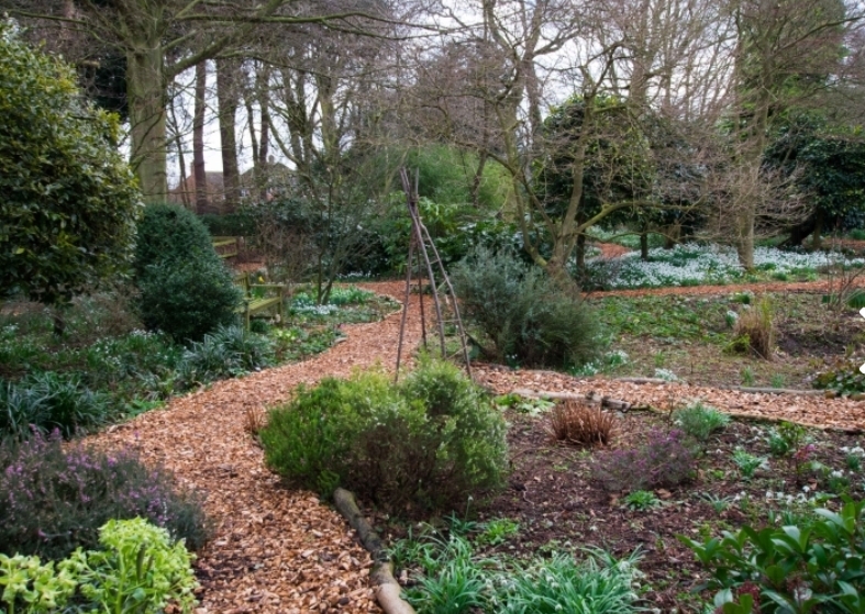 🌷National Garden Open Scheme, open for Snowdrops in Ampthill February 2025 - Event Image 2 February 16, 2025 02:00 PM