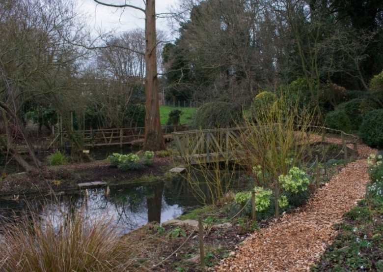 🌷National Garden Open Scheme, open for Snowdrops in Ampthill February 2025 - Event Image 3 February 16, 2025 02:00 PM