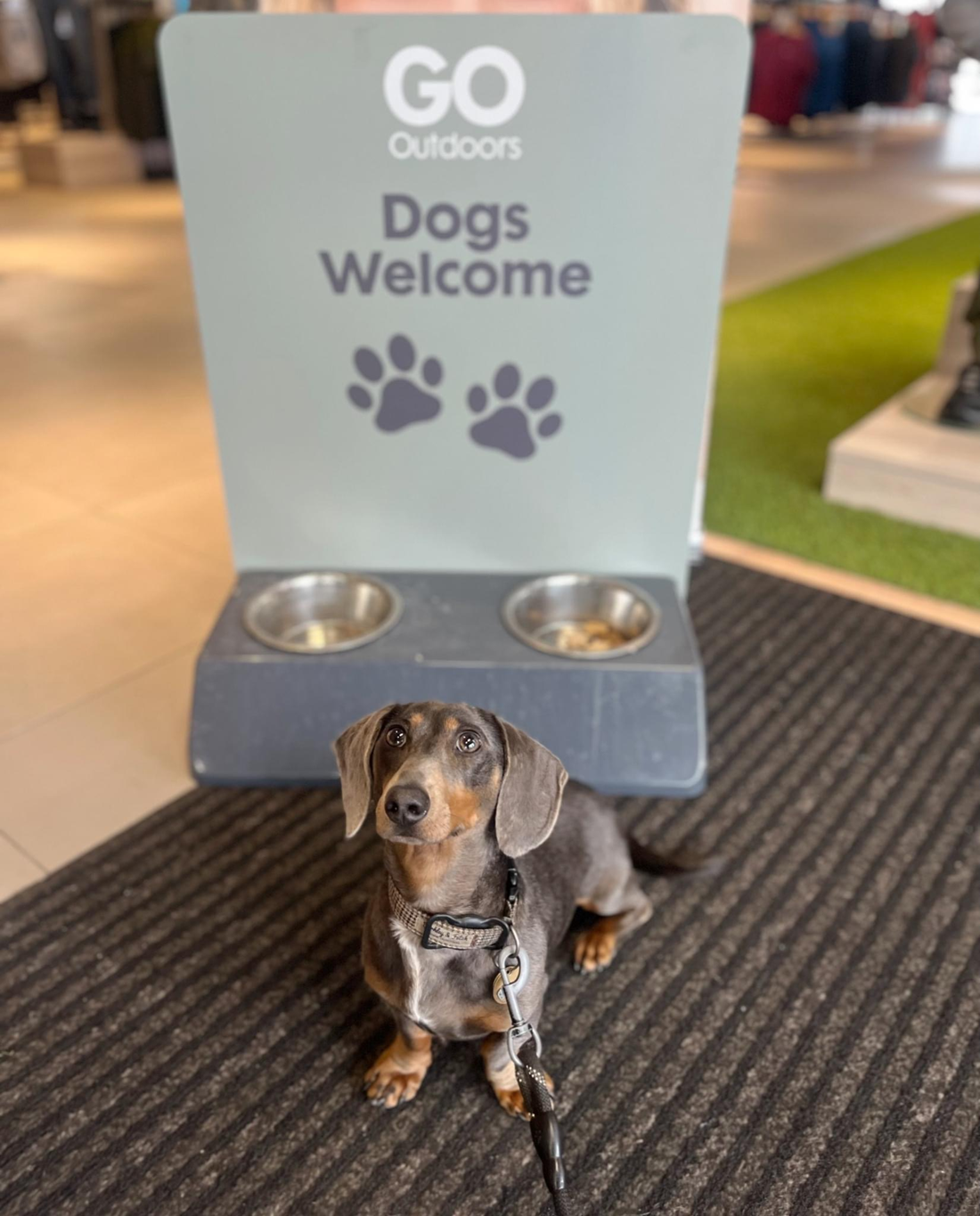 🥳 GO Outdoors Store Opening Celebrations in Bedford February 2025! at GO Outdoors, Norse Road, Bedford, MK41 0QN, | Adults, Entertainment, Family, Free Entry, Fun, Indoor, Rainy Days | Suitable for: Accessible, Dog Friendly 🥳 GO Outdoors Store Opening Celebrations in Bedford February 2025! - Event Image 2 February 15, 2025 09:00 AM