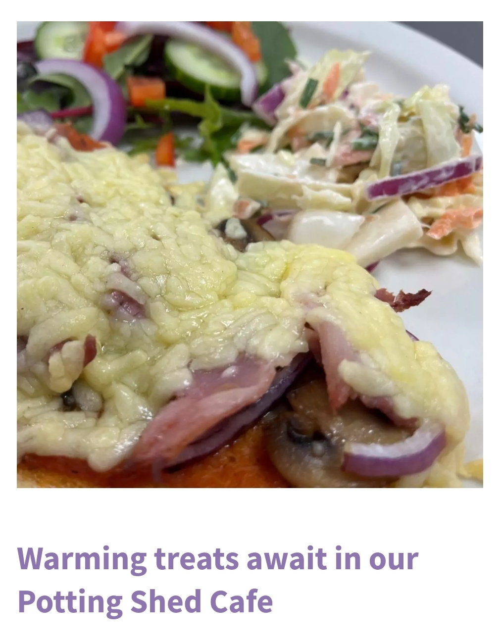 🐑 Lambing is Back at Thrift Farm February half term 2025 - Whaddon, Milton Keynes at Thrift Farm, Buckingham Road, Whaddon, Milton Keynes, MK17 0EQ. | Animals, Entertainment, Family, Food/Drink, Fun, Half Term, Kids, Outdoor, Seasonal, Advance Booking, Baby/Toddlers, Play Area, Ticket Event | Suitable for: Toilets, Children, Free Parking, Parking Onsite 🐑 Lambing is Back at Thrift Farm February half term 2025 - Whaddon, Milton Keynes - Event Image 6 February 15, 2025 10:00 AM