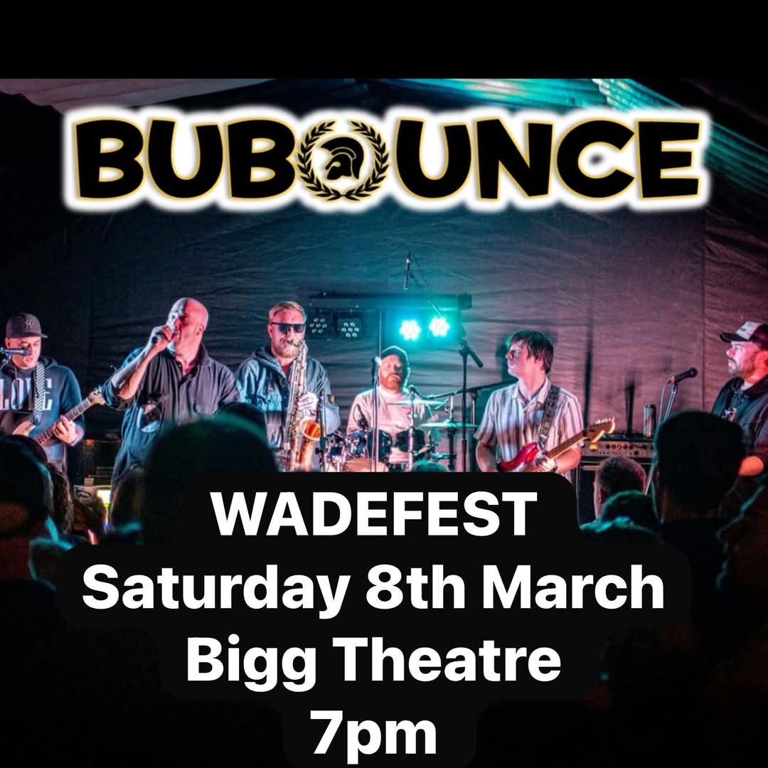 🎊 The First WadeFest 2025 in Biggleswade! - Event Image 2 March 08, 2025 10:00 AM