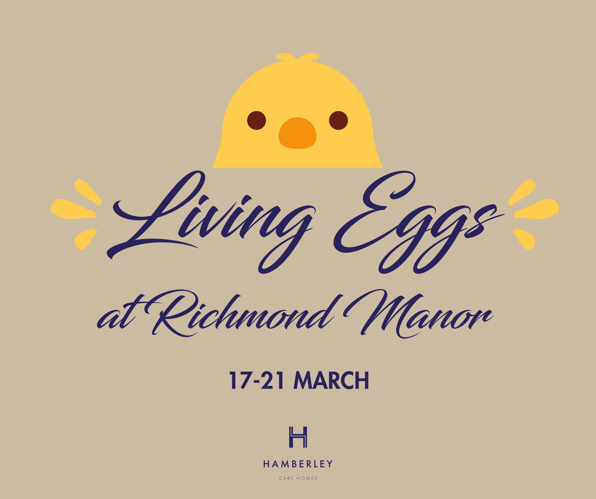 🐣 Free entry - Living Eggs at Richmond Manor Care Home, Ampthill - Original Event Image | Animals, Entertainment, Fun, Indoor, Kids, Social, Baby/Toddlers, Free | Suitable for: Children, Family, Toilets, Accessible 🐣 Free entry - Living Eggs at Richmond Manor Care Home, Ampthill - March 19, 2025 05:00 PM at Richmond Manor Care Home, 14 Dunstable Street, Ampthill, MK45 2JT