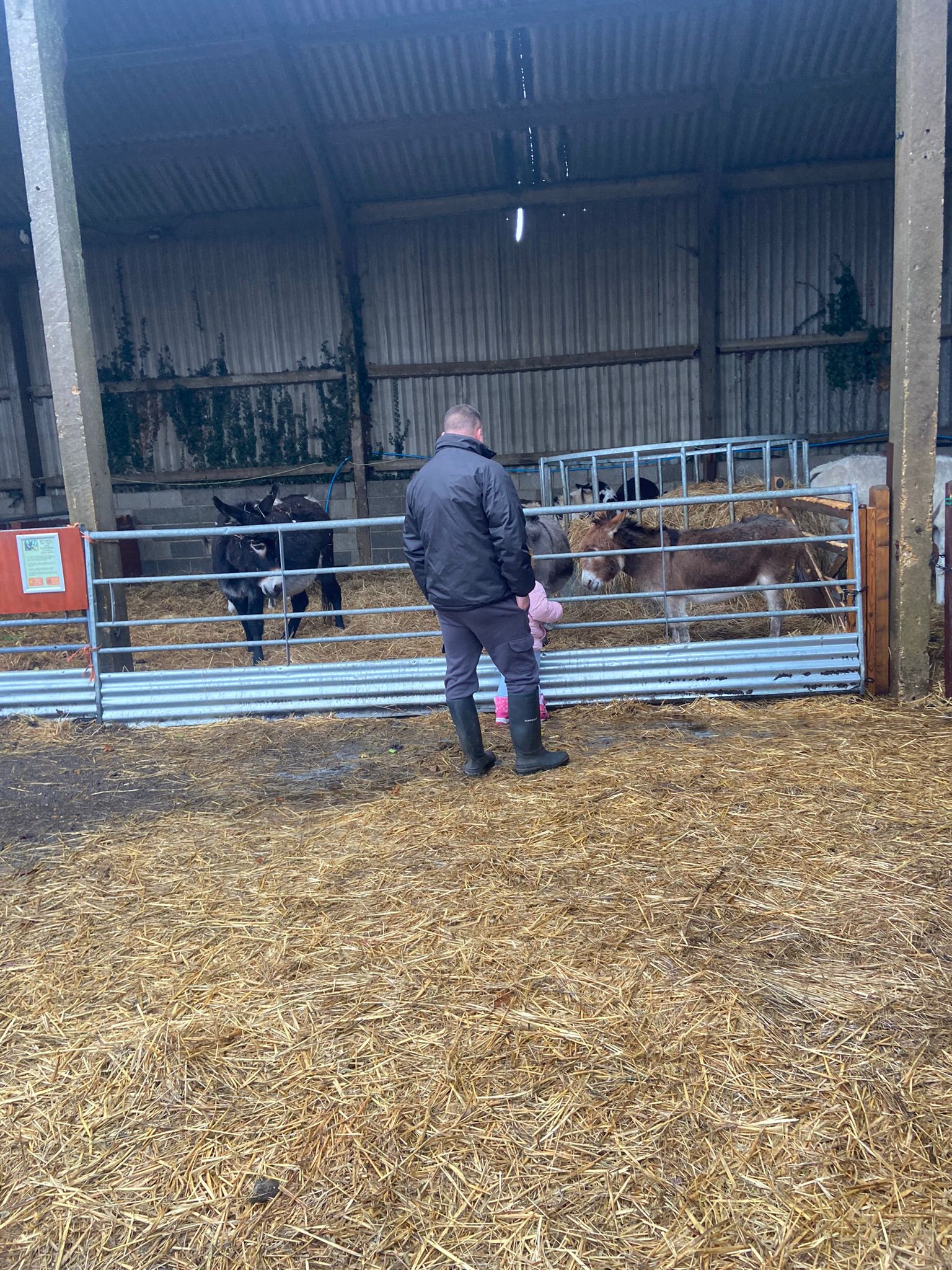 🐽 FREE ENTRY TO KNOTTS OF TEMPSFORD FARM - Event Image 7 May 30, 2025 09:00 AM