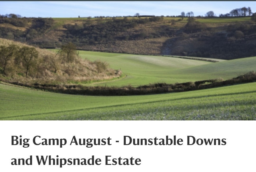 🏕 Big Camp Out at Dunstable Downs August 2025! at Dunstable Downs National Trust Visitor Centre - Dunstable Downs and Whipsnade, Whipsnade Road, Dunstable, Bedfordshire, LU6 2GY | Advance Booking, Annual, Attractions, Entertainment, Family, Food/Drink, Fun, Outdoor, Overnight, Scenic | Suitable for: Toilets, Family, Parking Onsite 🏕 Big Camp Out at Dunstable Downs August 2025! - Event Image 2 August 15, 2025 12:00 PM