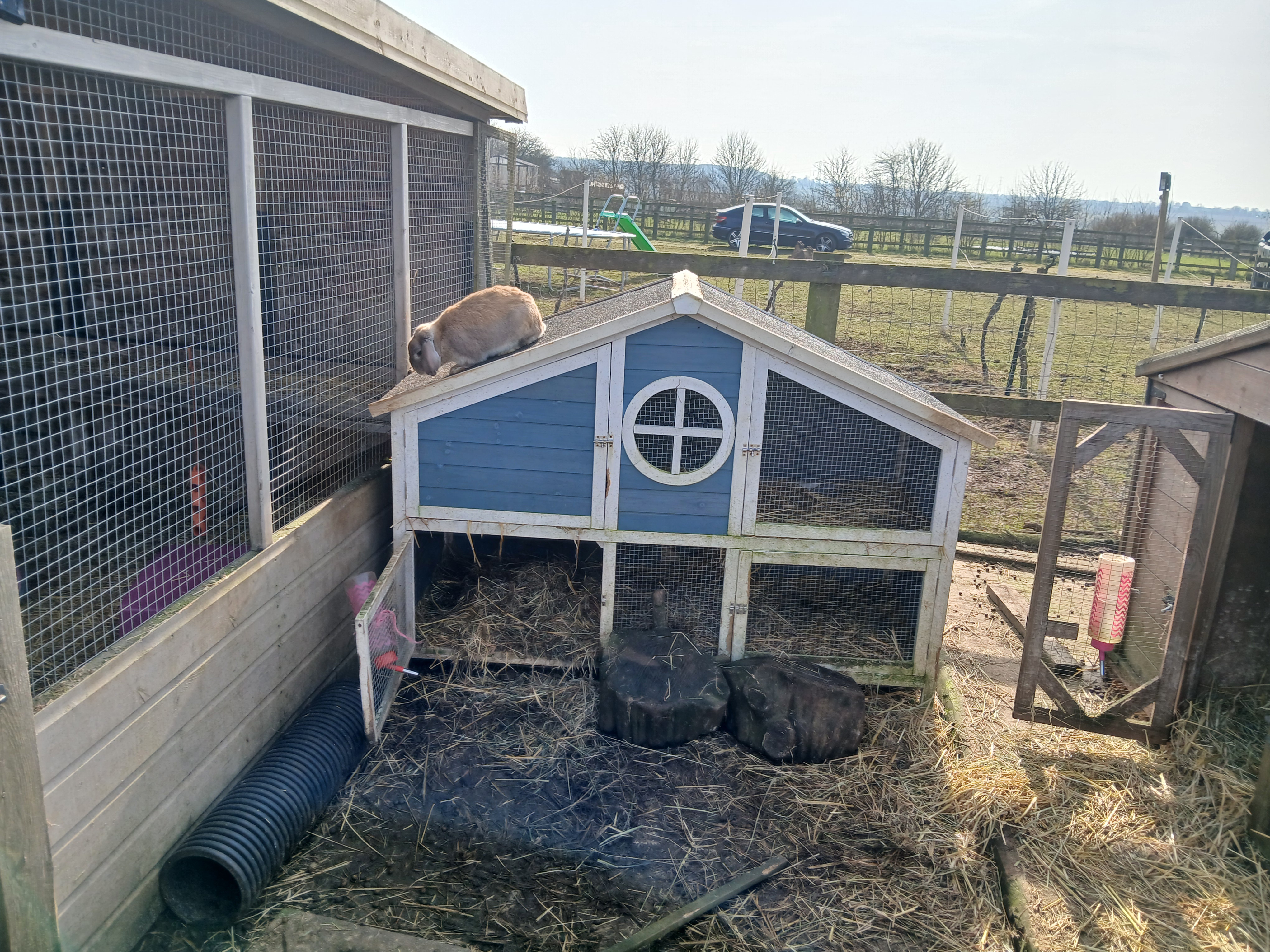 🐐 Animal Edge Farm - Winter Farm Visit 2025 - Event Image 13 March 01, 2025 10:00 AM