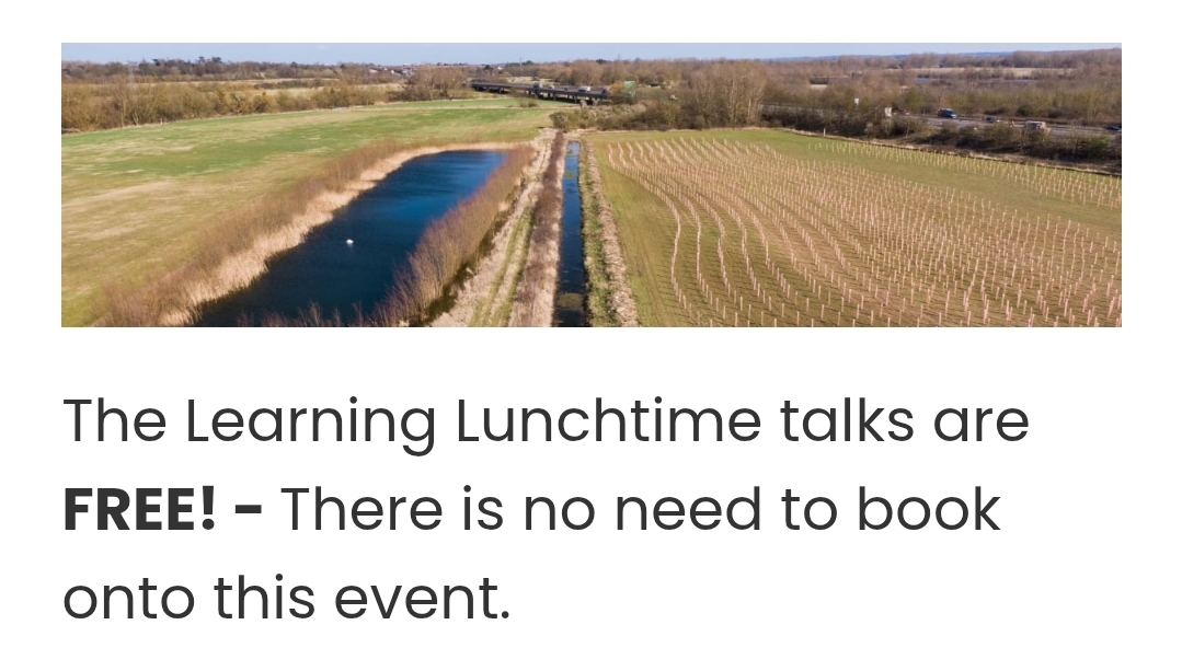 🌳 FREE Learning Lunchtime - Agroforestry: farming and trees in Marston Moretaine  - Event Image 2 March 03, 2025 11:00 AM