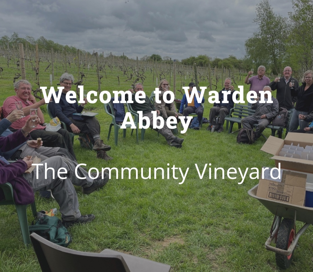 ✈ Flying day picnic at Warden Abbey Vineyard, Bedford Rd, Biggleswade, Bedfordshire, SG18 9LS | Low Cost, Family, Food/Drink, Adults, Date Idea, Scenic, Outdoor | Suitable for: Family, Dog Friendly ✈ Flying day picnic - Event Image 2 August 11, 2024 01:30 PM