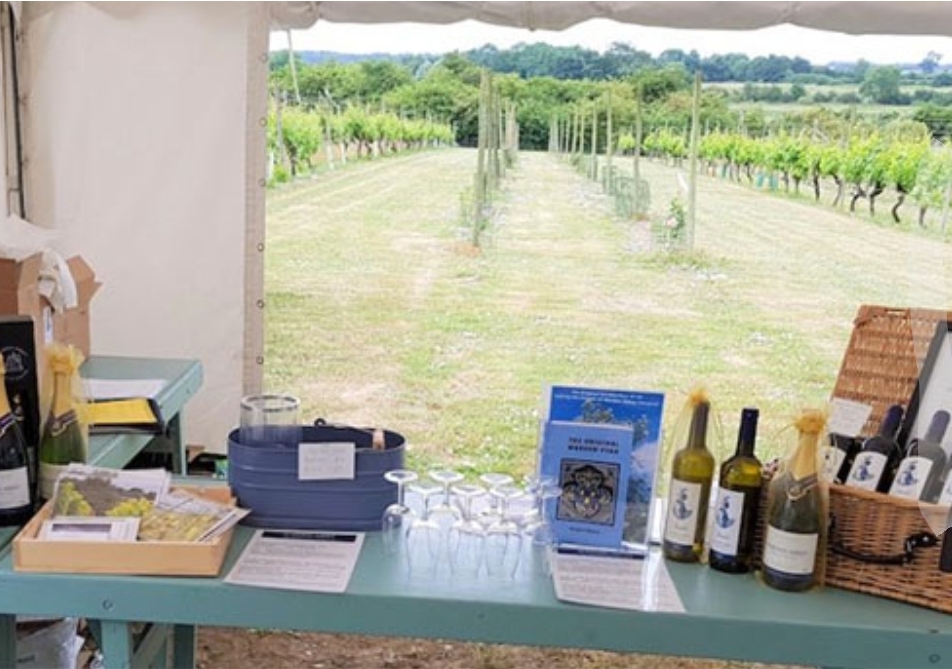 ✈ Flying day picnic at Warden Abbey Vineyard, Bedford Rd, Biggleswade, Bedfordshire, SG18 9LS | Low Cost, Family, Food/Drink, Adults, Date Idea, Scenic, Outdoor | Suitable for: Family, Dog Friendly ✈ Flying day picnic - Event Image 3 August 11, 2024 01:30 PM