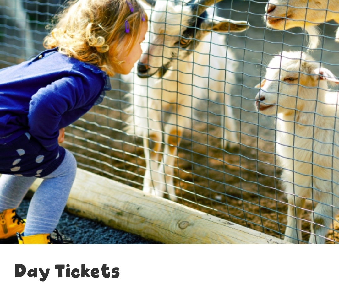 💖 Mum's Go Free at Standalone Farm on Mother's Day 2025 - Event Image 4 March 30, 2025 10:00 AM