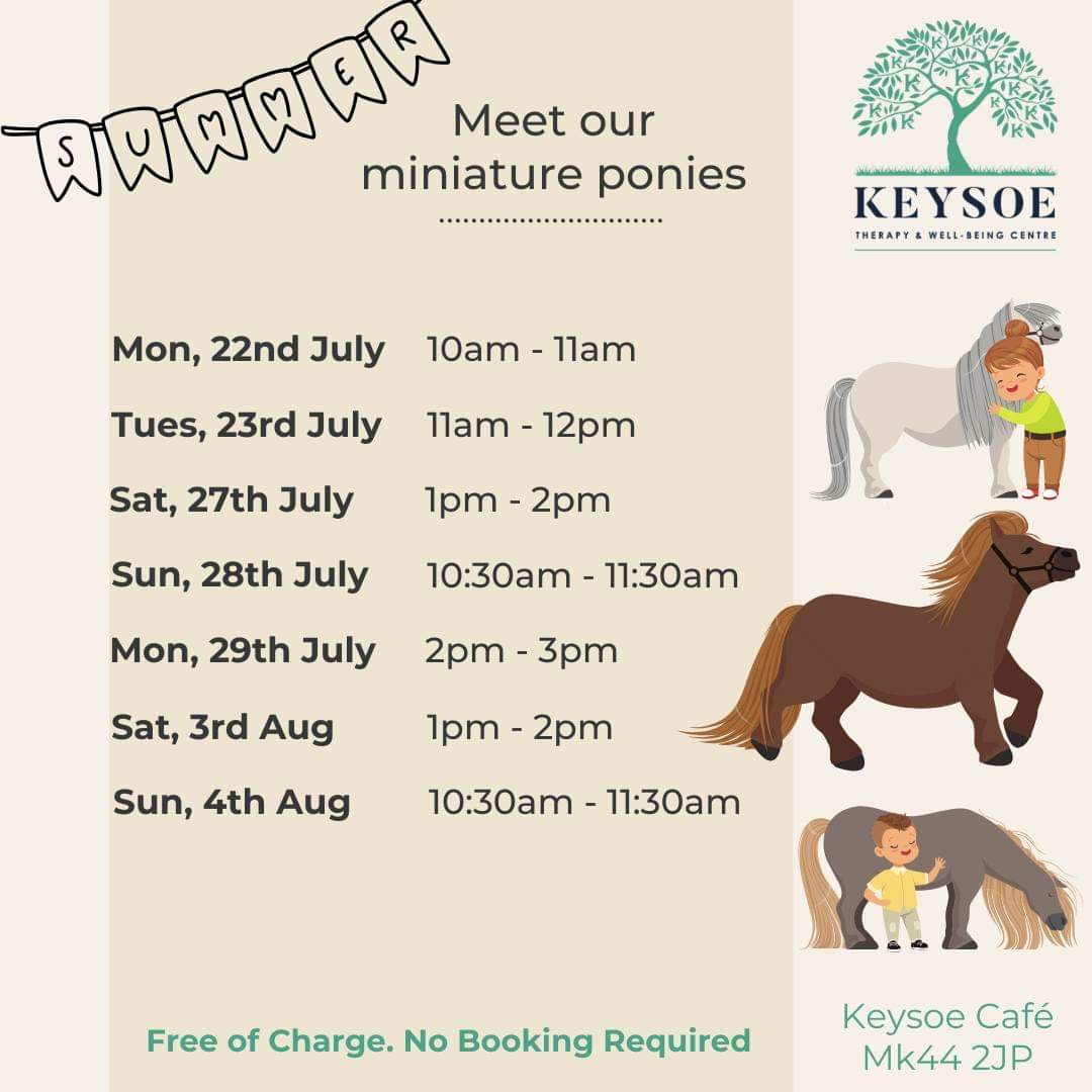 🐴 FREE MEET & GREET MINITURE PONIES - Event Image 4  02:00 PM