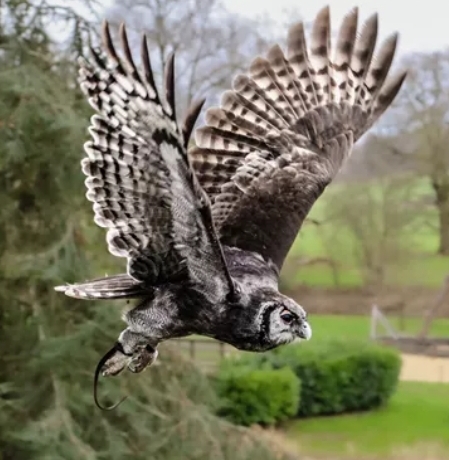 🏰 Parent & Toddler Offer at Warwick Castle Monday-Friday.... | Categories: Attractions, Entertainment, Online | Featured Deal 🏰 Parent & Toddler Offer at Warwick Castle Monday-Friday.... - $20.00