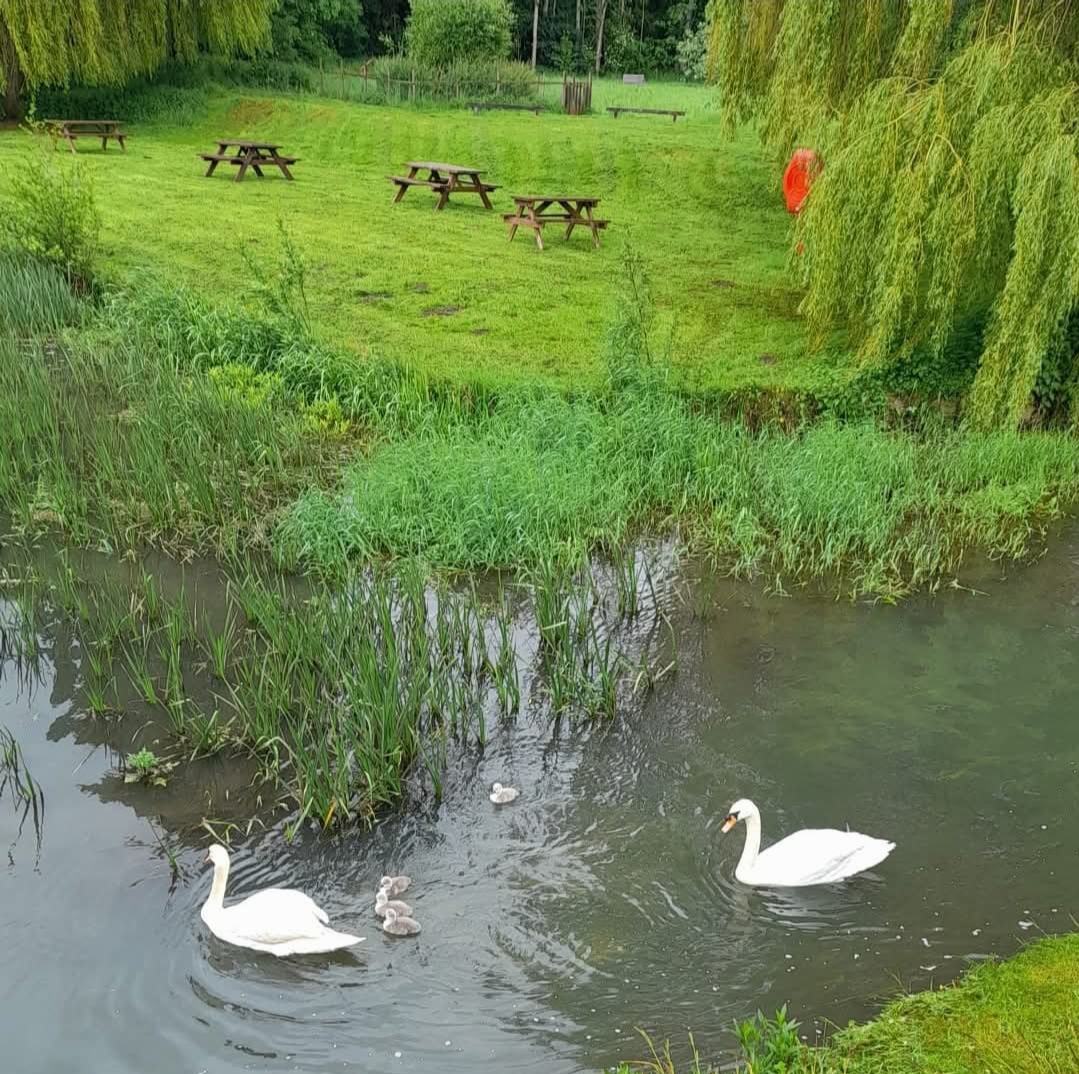 🐰 Easter Adventure Trail 2025 at Jordons Mill in Broom  - Event Image 3 April 15, 2025 09:30 AM