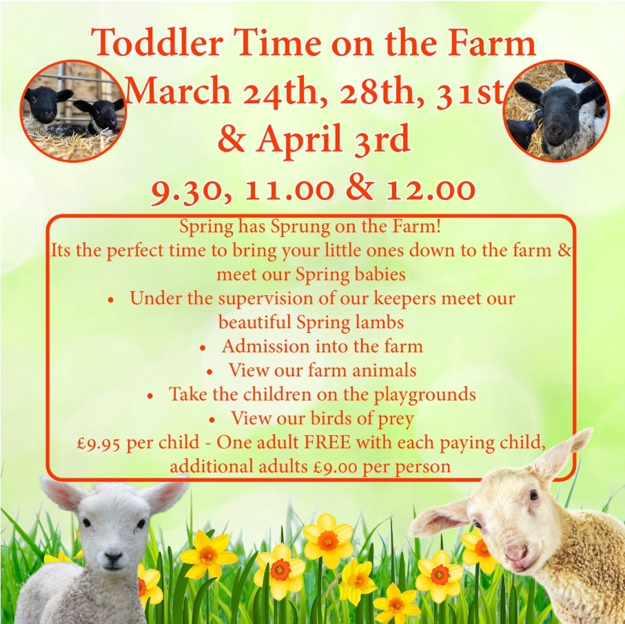 🐑 Toddler Time on the Farm (pre-booking required) - Wilstead - Event Image 2 March 24, 2025 