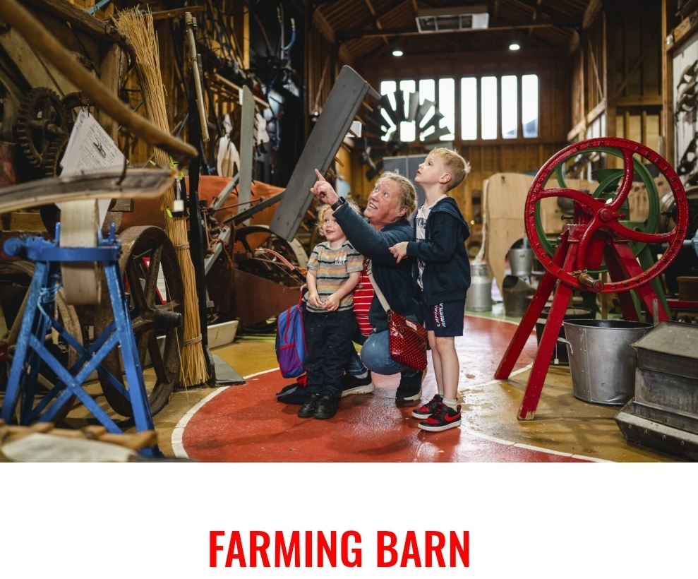 🏛 Milton Keynes Museum  - May Half Term 2025 (Pay once and visit for free all year!) - Event Image 8 May 27, 2025 10:30 AM