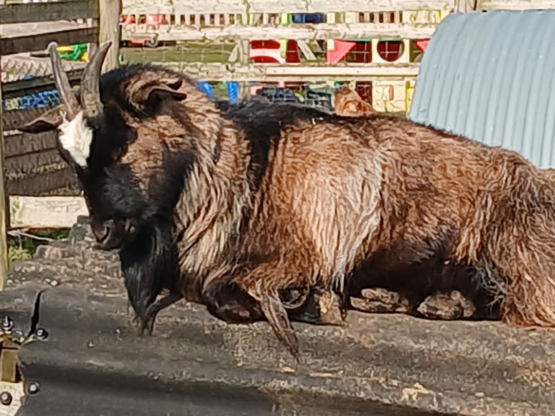 🐤 Animal Edge - Easter Fun at the farm in Millbrook, 2025 at Animal Edge, Fordfield Road, Millbrook
MK45 2HZ | Advance Booking, Animals, Family, Food/Drink, Fun, Half Term, Kids, Outdoor, Play Area, Ticket Event | Suitable for: Children, Family, Free Parking, Parking Onsite, Toilets 🐤 Animal Edge - Easter Fun at the farm in Millbrook, 2025 - Event Image 9 April 11, 2025 10:00 AM