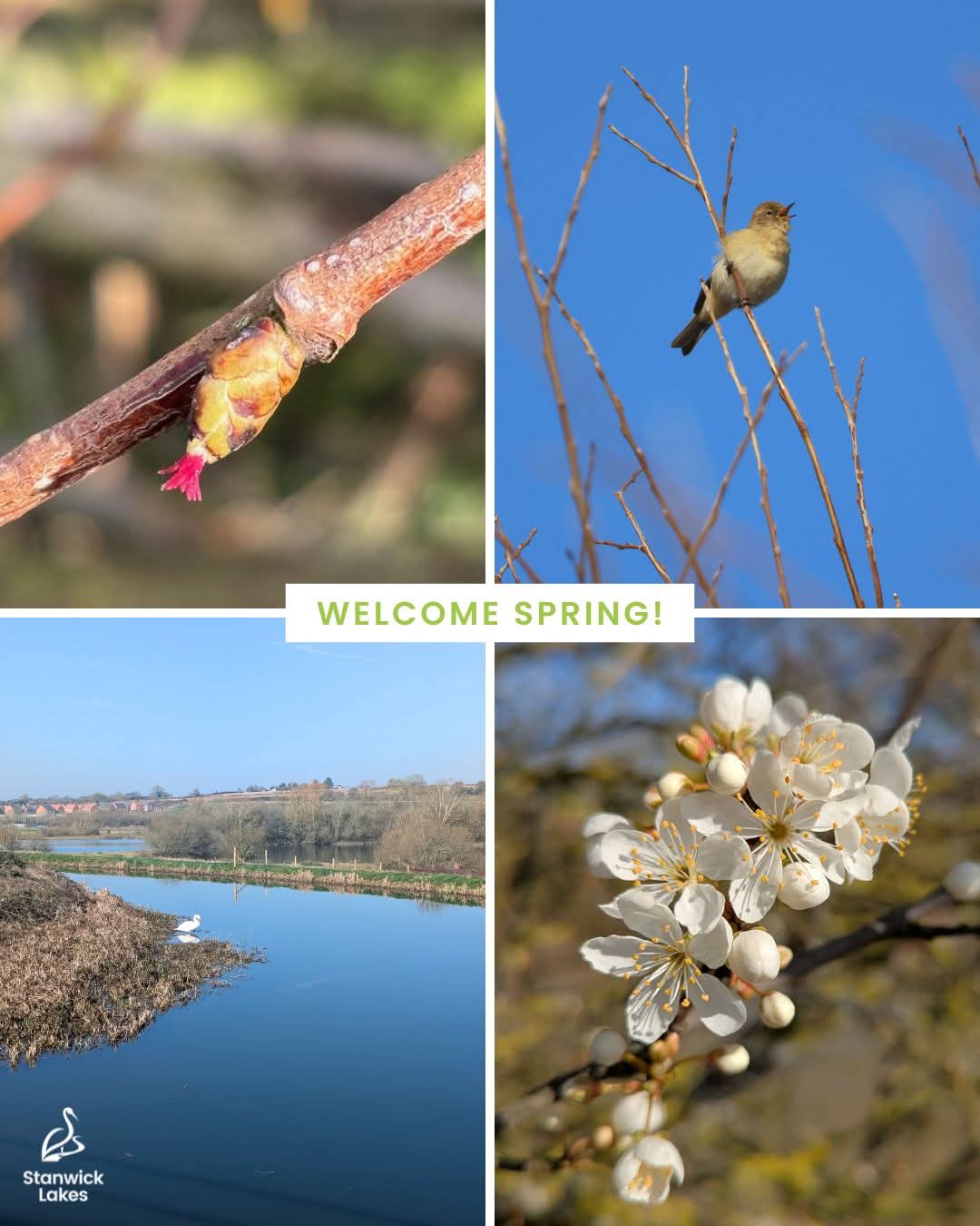 🦆 Stanwick Lakes - Easter 2025 - Event Image 2 April 15, 2025 09:30 AM