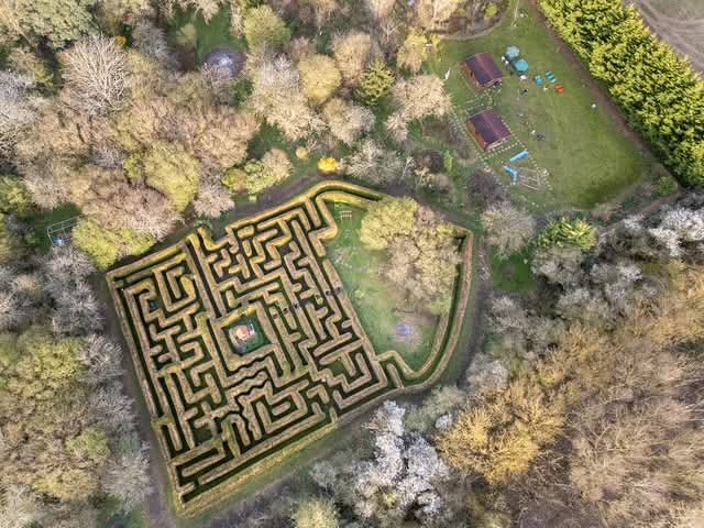 🌳 Shefford Maze 2025 (Hoo Hill Maze) - Event Image 2 June 15, 2025 10:00 AM
