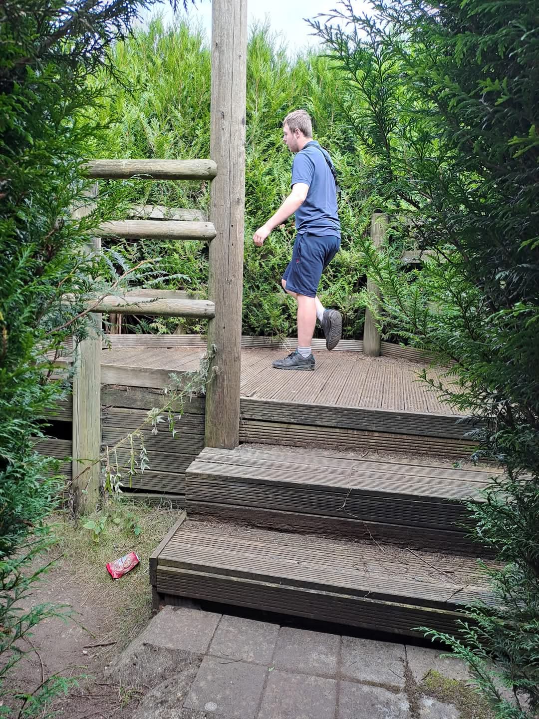 🌳 Shefford Maze 2025 (Hoo Hill Maze) - Event Image 3 June 15, 2025 10:00 AM