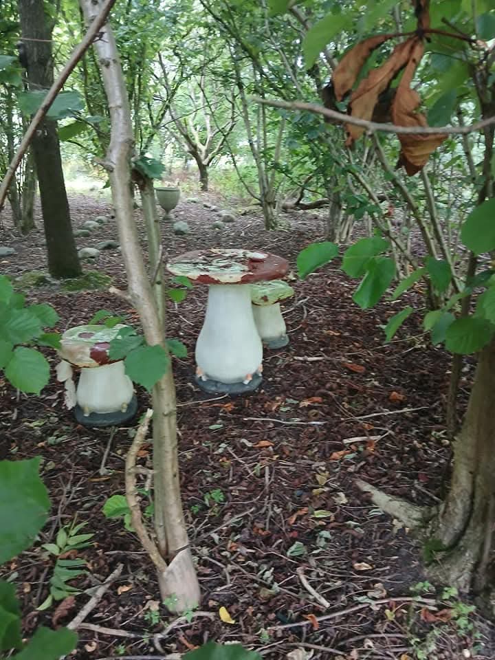 🌳 Shefford Maze 2025 (Hoo Hill Maze) - Event Image 10 June 15, 2025 10:00 AM