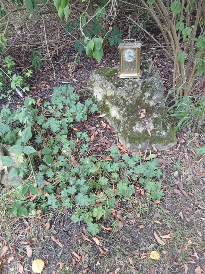 🌳 Shefford Maze 2025 (Hoo Hill Maze) - Event Image 11 June 15, 2025 10:00 AM