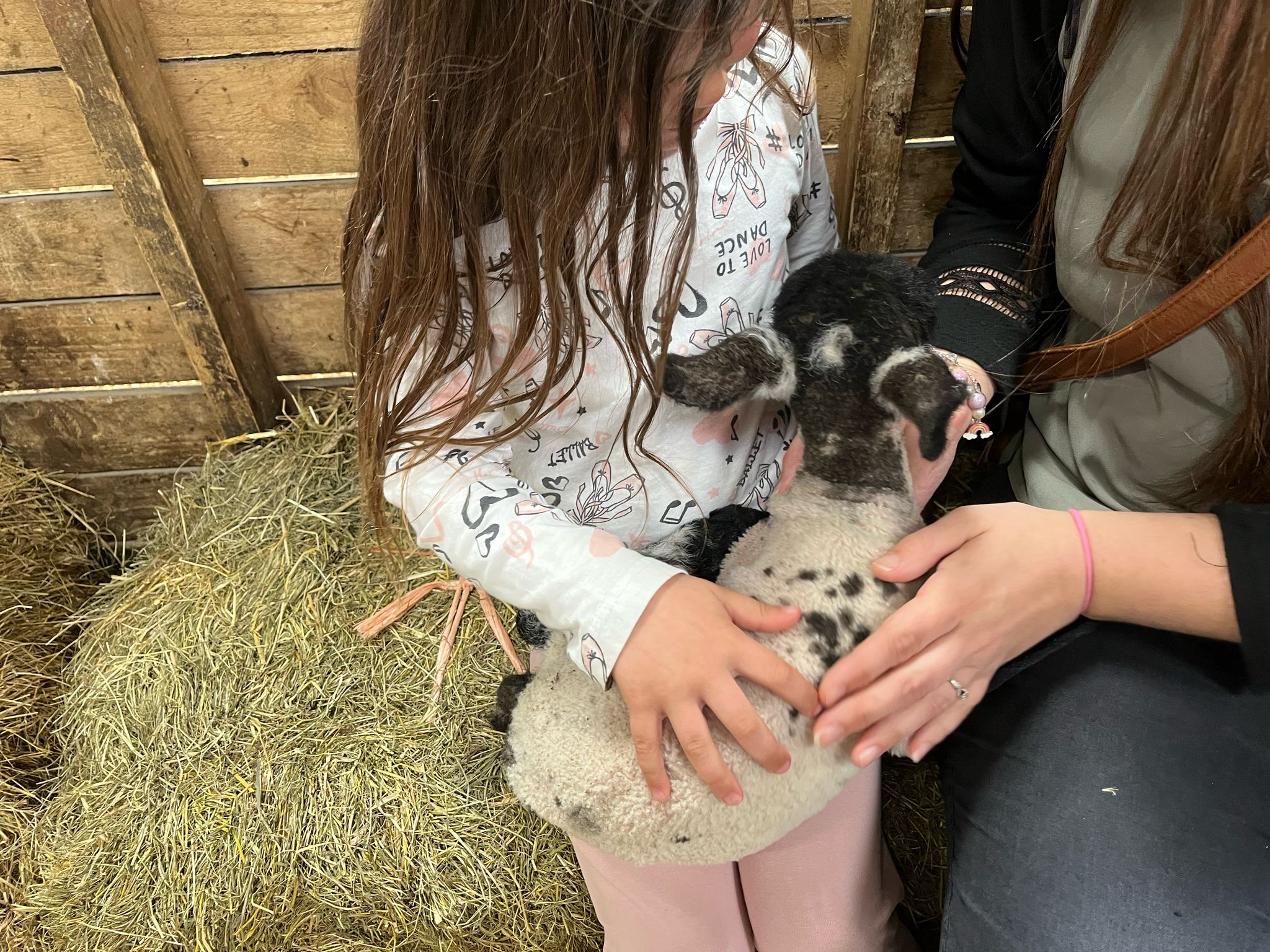 🐑 Watergate Farm Lambing Season 2025 - Hockliffe at Watergate Farm
Hockliffe
Nr Leighton Buzzard
Bedfordshire
LU7 9LN | Advance Booking, Animals, Attractions, Baby/Toddlers, Family, Food/Drink, Fun, Half Term, Kids, Outdoor, Weather Permitting, Automotive, Pay On Entry, Ticket Event | Suitable for: Accessible, Blue Badge Parking, Children, Family, Free Parking, Parking Onsite 🐑 Watergate Farm Lambing Season 2025 - Hockliffe - Event Image 4 April 18, 2025 10:30 AM