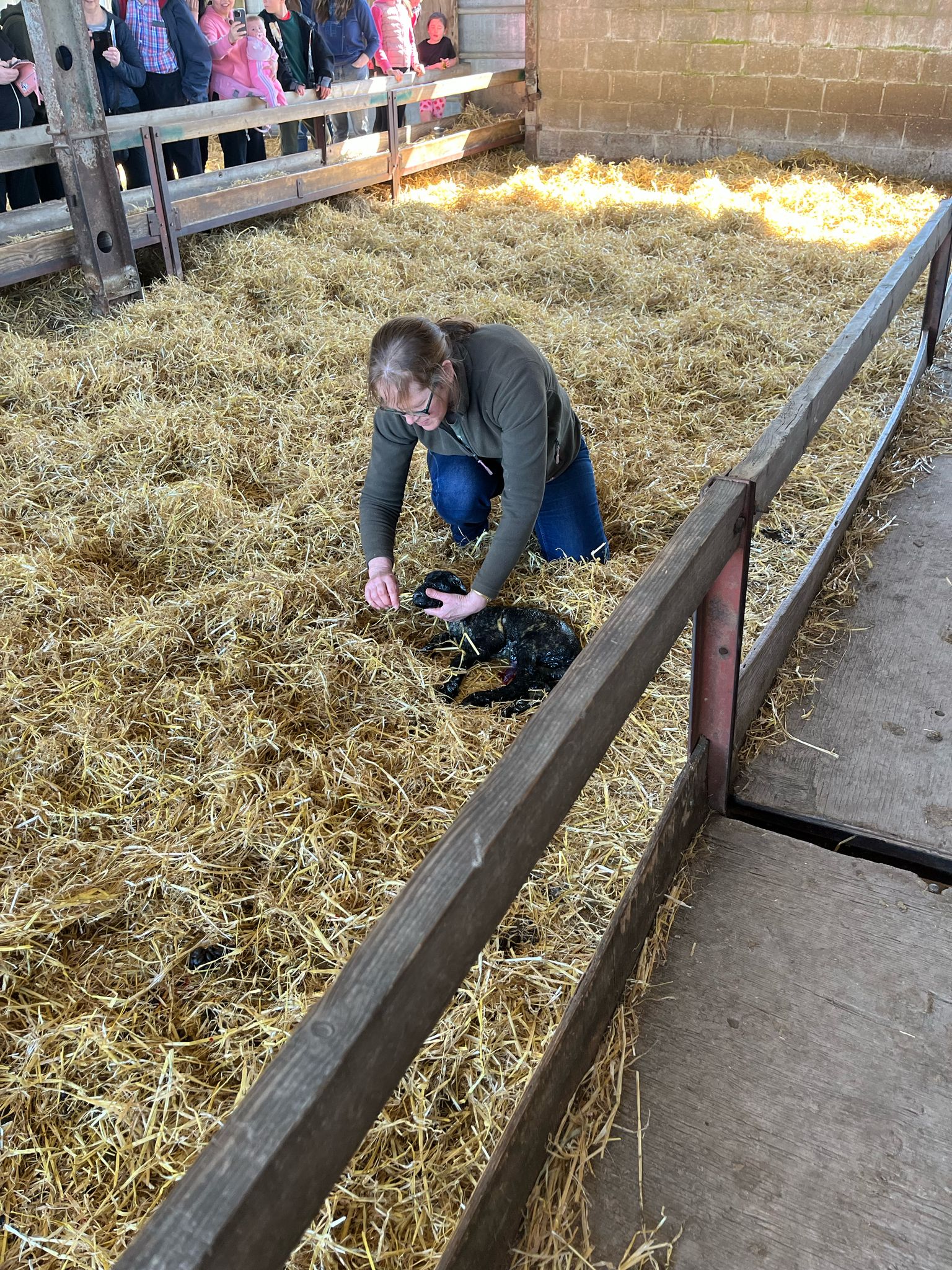🐑 Watergate Farm Lambing Season 2025 - Hockliffe at Watergate Farm
Hockliffe
Nr Leighton Buzzard
Bedfordshire
LU7 9LN | Advance Booking, Animals, Attractions, Baby/Toddlers, Family, Food/Drink, Fun, Half Term, Kids, Outdoor, Weather Permitting, Automotive, Pay On Entry, Ticket Event | Suitable for: Accessible, Blue Badge Parking, Children, Family, Free Parking, Parking Onsite 🐑 Watergate Farm Lambing Season 2025 - Hockliffe - Event Image 5 April 18, 2025 10:30 AM